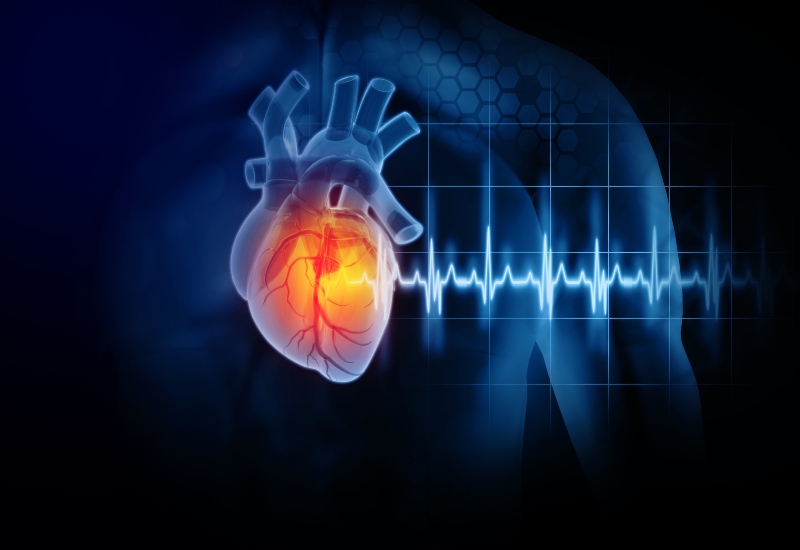 A heart and ECG illustrate silent heart attack symptoms and cardiac warning signs in Peoria, AZ